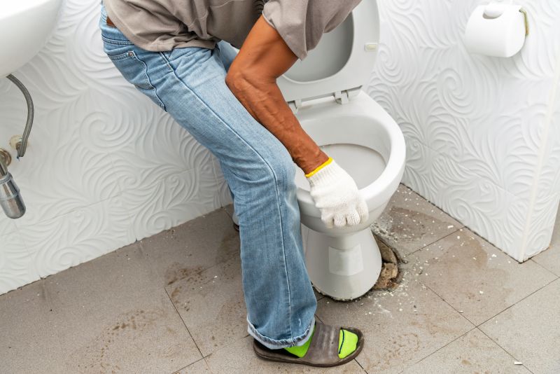 Toilet Parts Replacement in Denver, CO