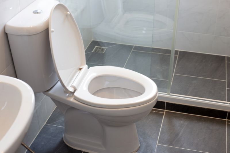 Toilet Replacement in Denver, CO